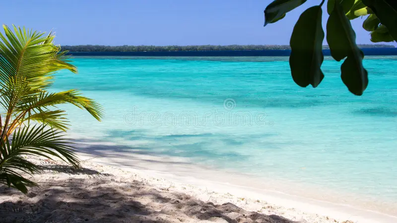 Pristine beach with turquoise water